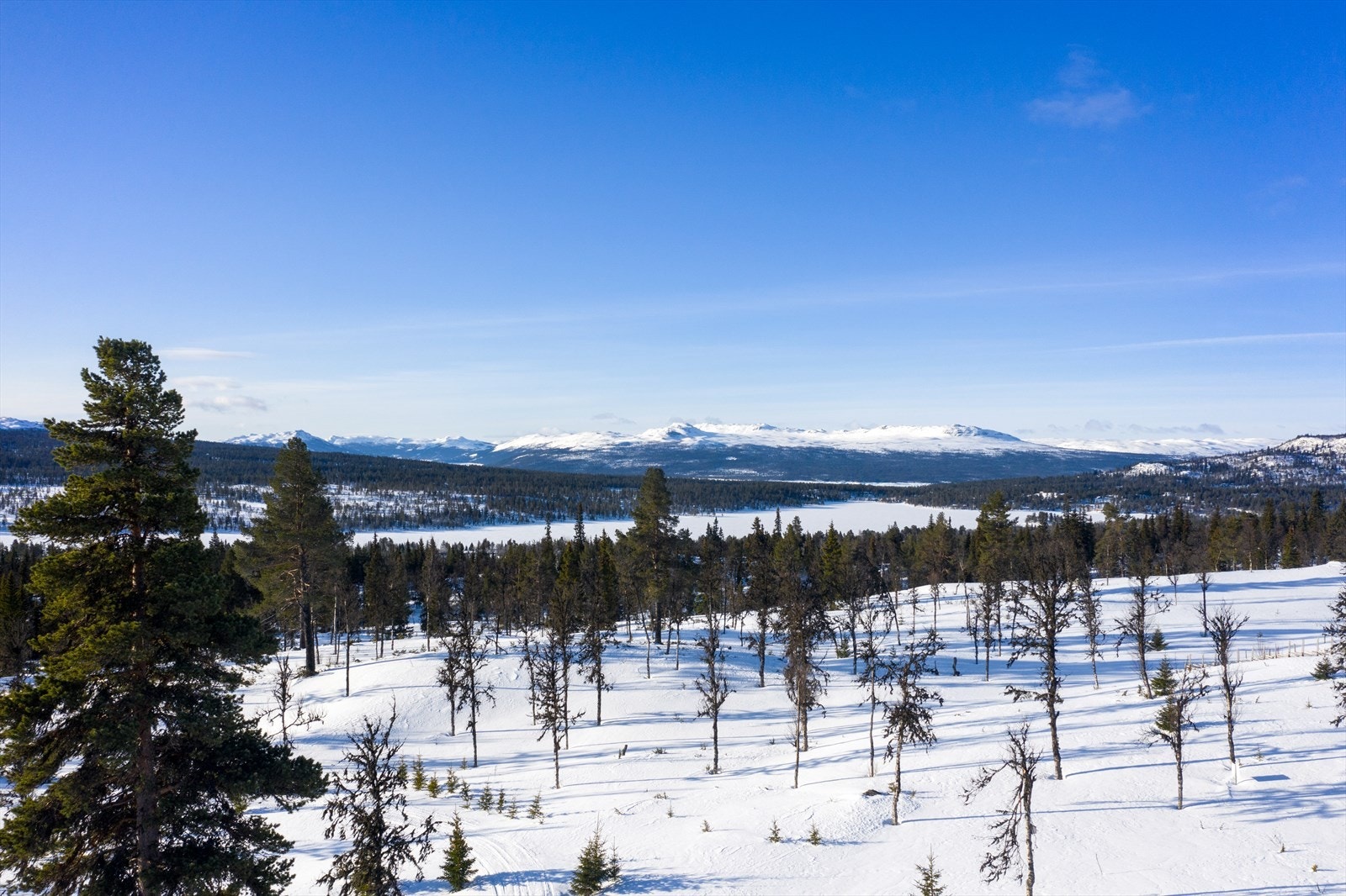 PRINT_2020-04-04 EM1Gol Tomtefelt Lyseren Susanne-0774.jpg Galleribilde