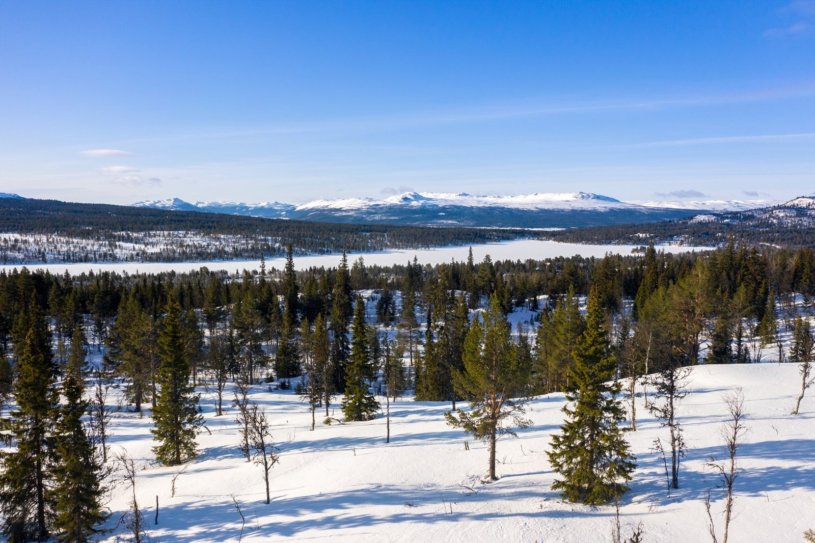 PRINT_2020-04-04 EM1Gol Tomtefelt Lyseren Susanne_ALTver-0779.jpg Galleribilde