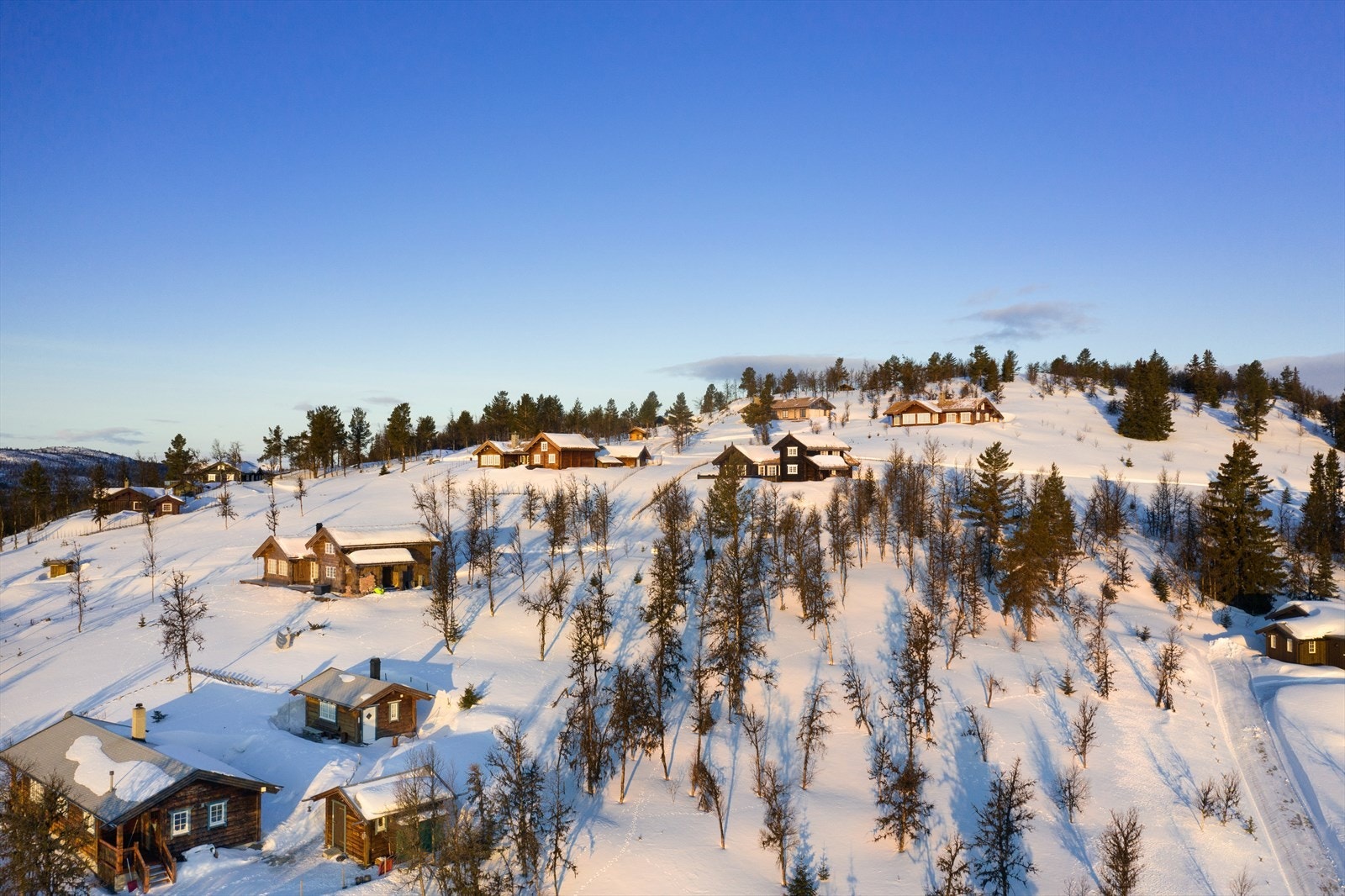 PRINT_2020-04-04 EM1Gol Tomtefelt Lyseren Susanne_ALTver-0724.jpg Galleribilde