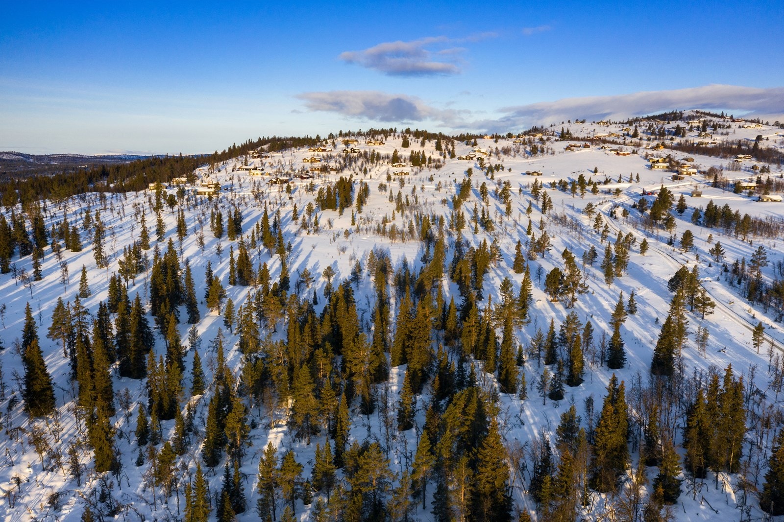 PRINT_2020-04-04 EM1Gol Tomtefelt Lyseren Susanne_ALTver-0742.jpg Galleribilde