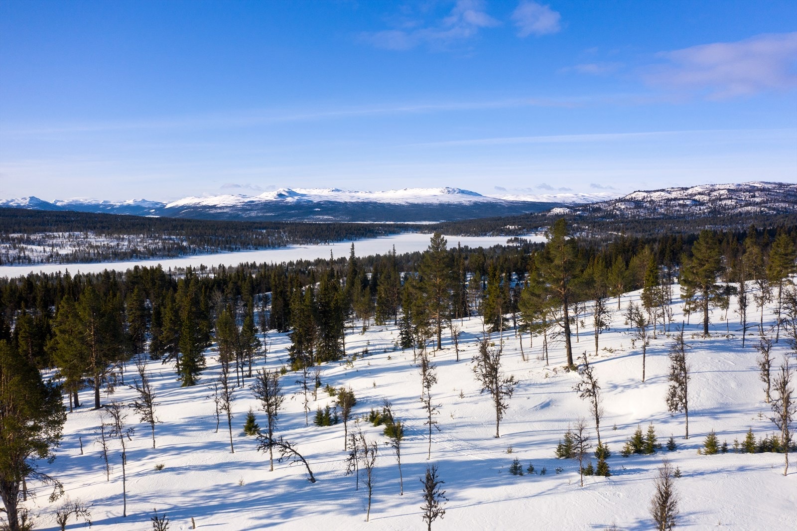 PRINT_2020-04-04 EM1Gol Tomtefelt Lyseren Susannee-0783.jpg Galleribilde