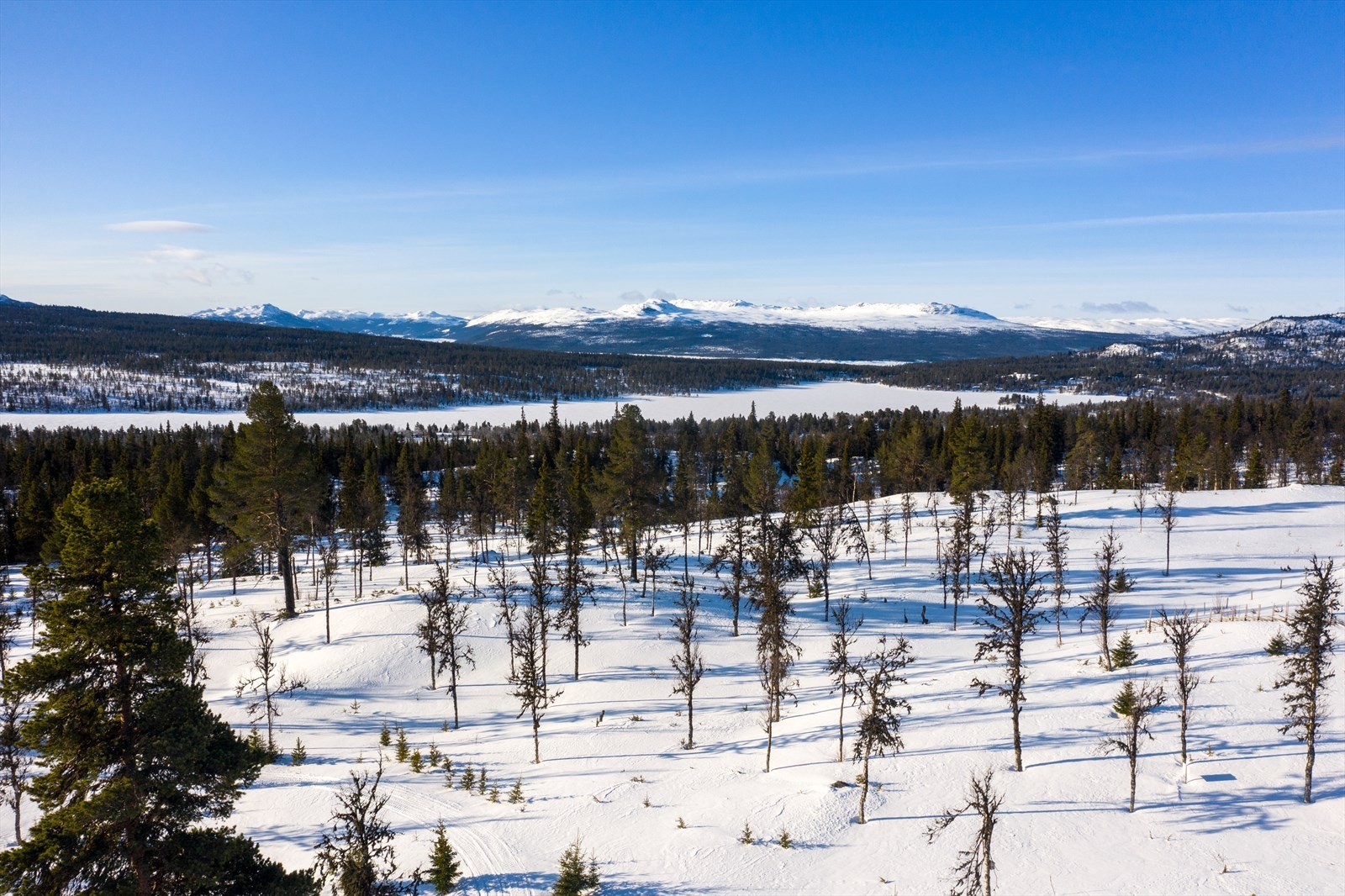 PRINT_2020-04-04 EM1Gol Tomtefelt Lyseren Susanne-0775.jpg Galleribilde