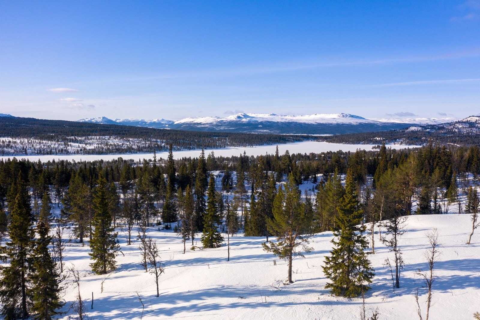 PRINT_2020-04-04 EM1Gol Tomtefelt Lyseren Susannee-0779.jpg Galleribilde