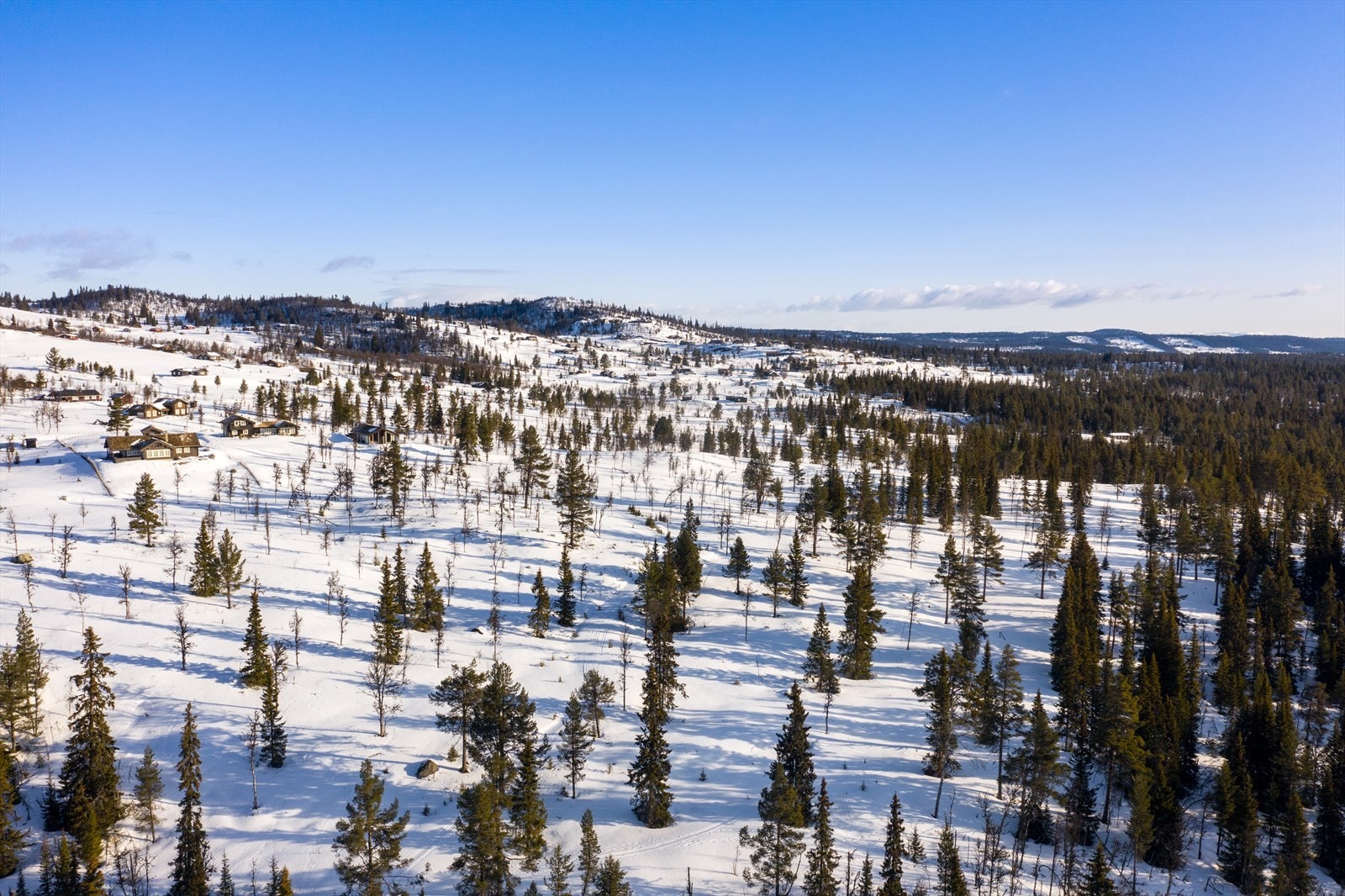 PRINT_2020-04-04 EM1Gol Tomtefelt Lyseren Susannee-0786.jpg Galleribilde