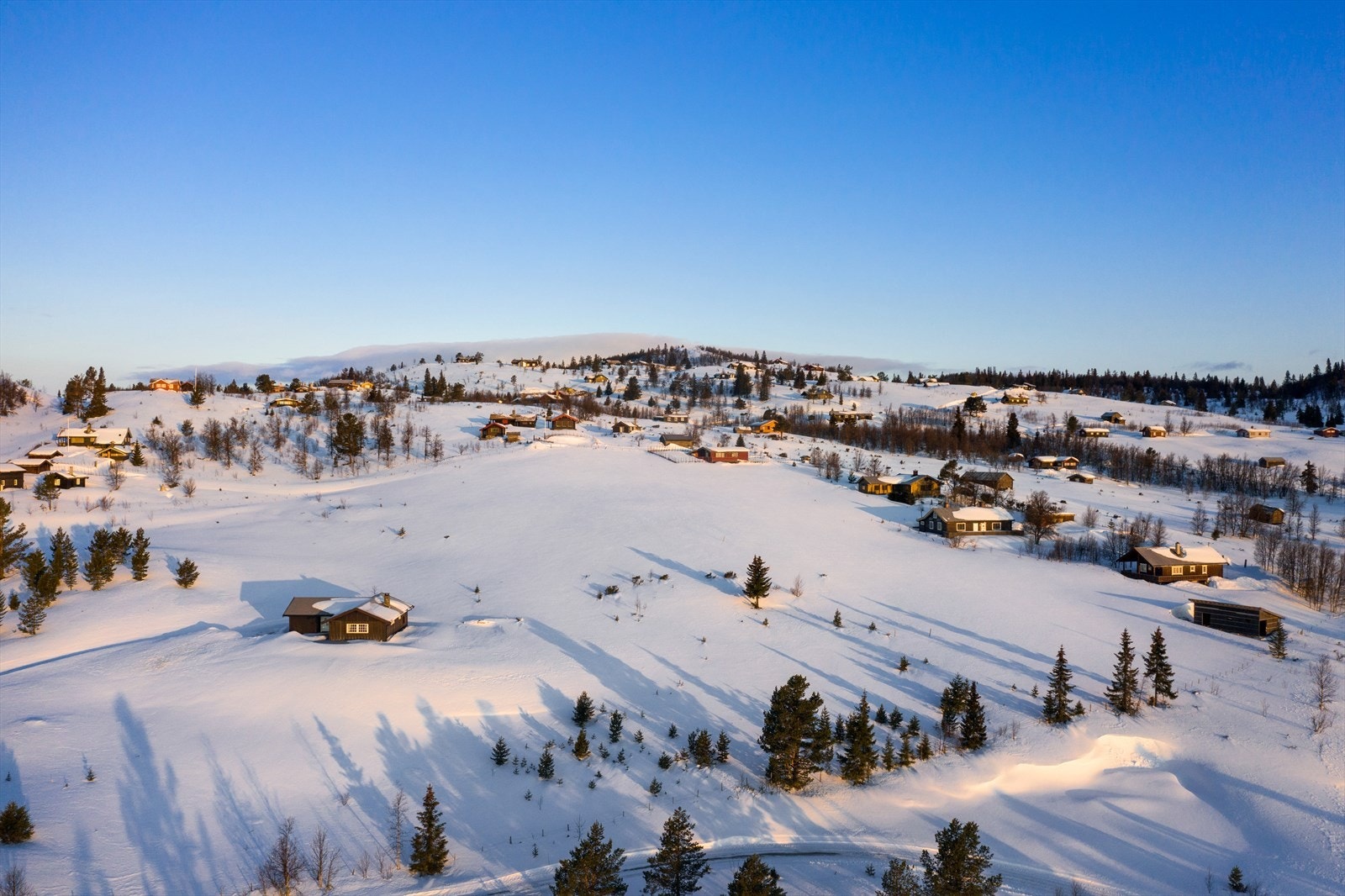 PRINT_2020-04-04 EM1Gol Tomtefelt Lyseren Susanne_ALTver-0706.jpg Galleribilde