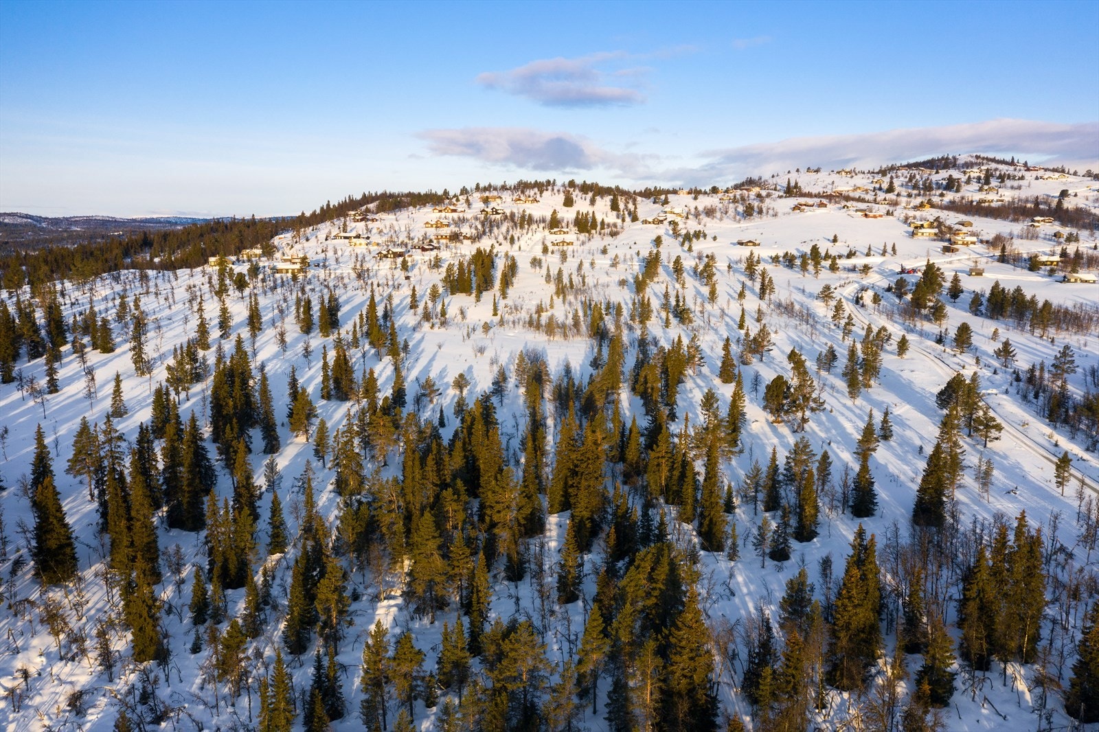 PRINT_2020-04-04 EM1Gol Tomtefelt Lyseren Susannee-0742.jpg Galleribilde