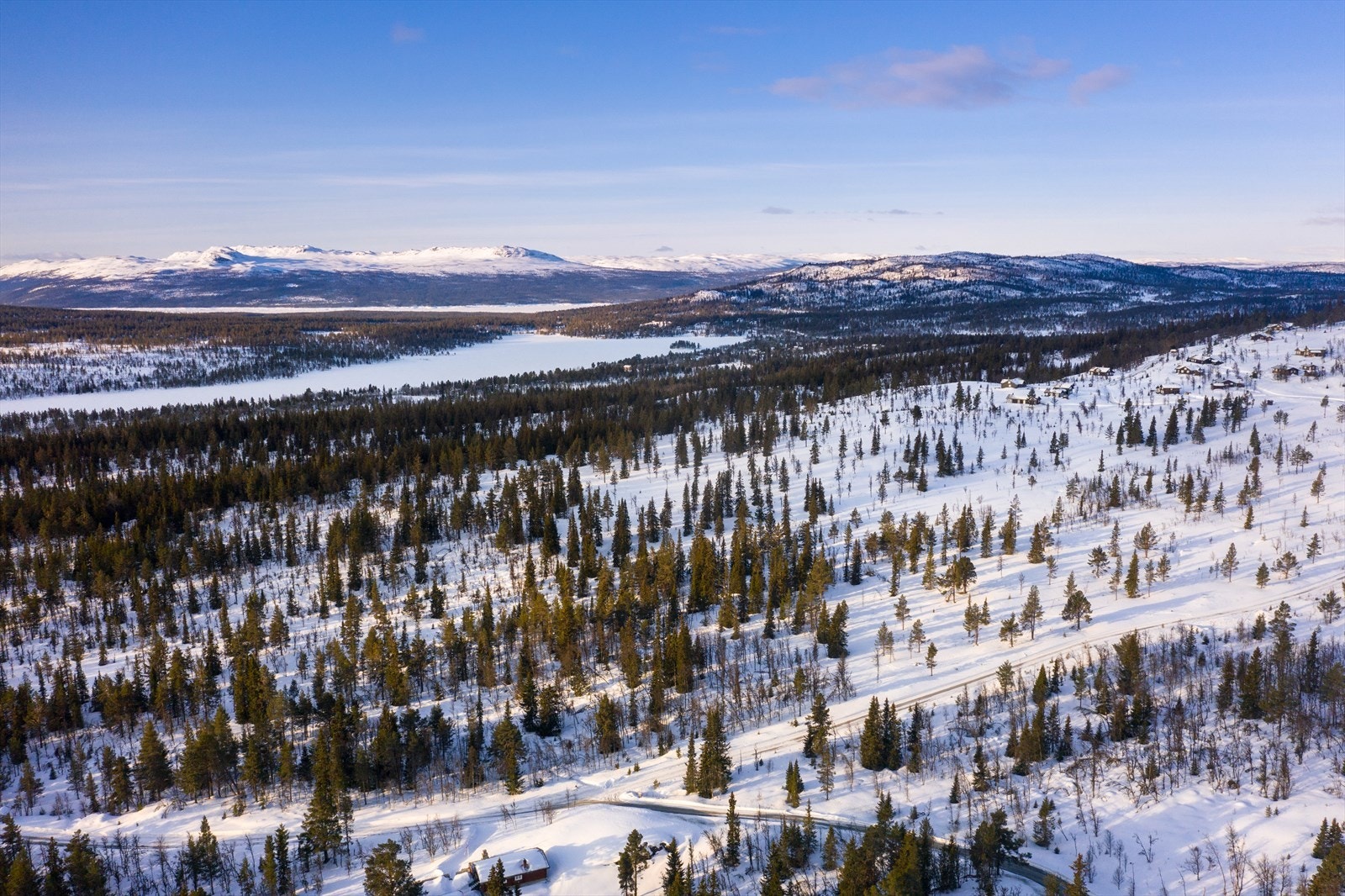 PRINT_2020-04-04 EM1Gol Tomtefelt Lyseren Susannee-0769.jpg Galleribilde