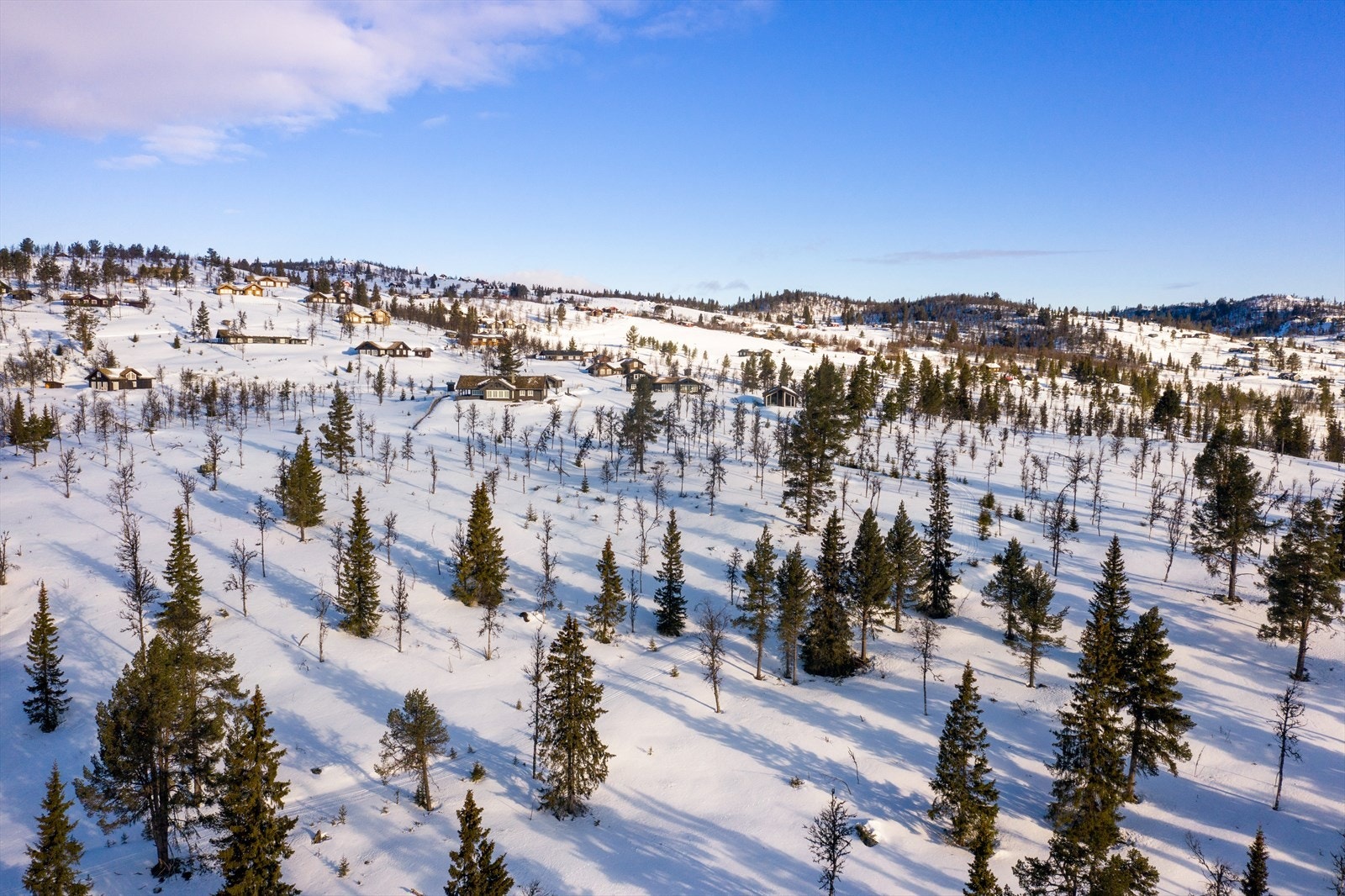 PRINT_2020-04-04 EM1Gol Tomtefelt Lyseren Susannee-0797.jpg Galleribilde