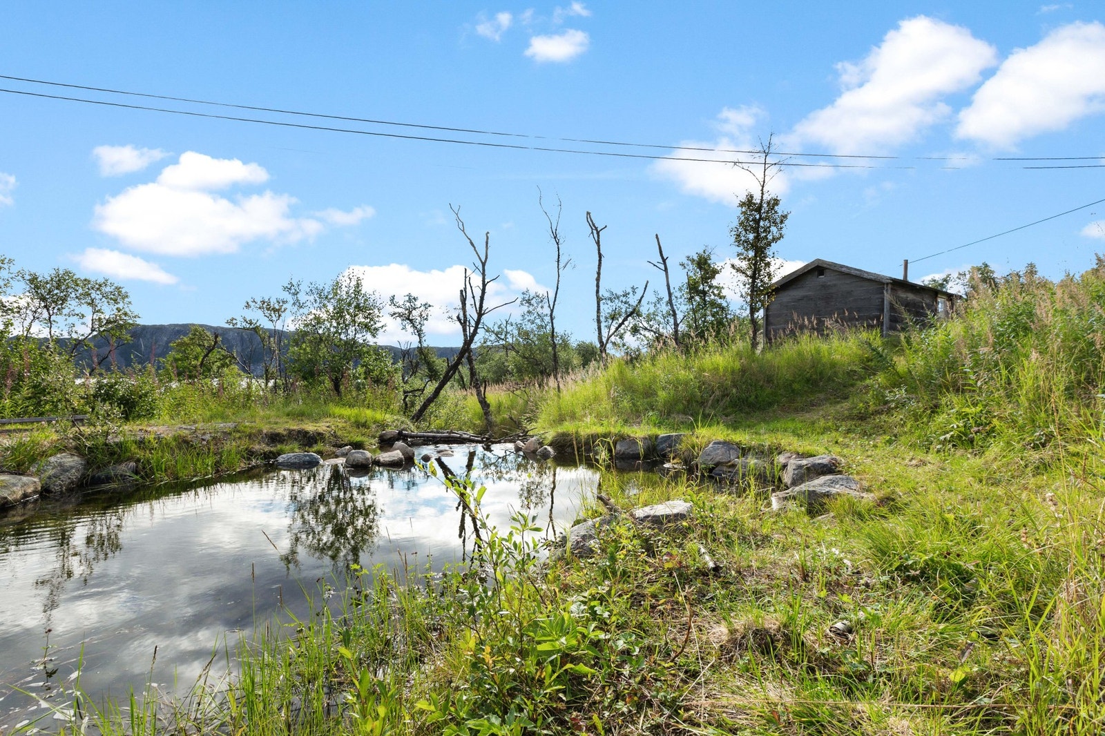 Badekulp Galleribilde