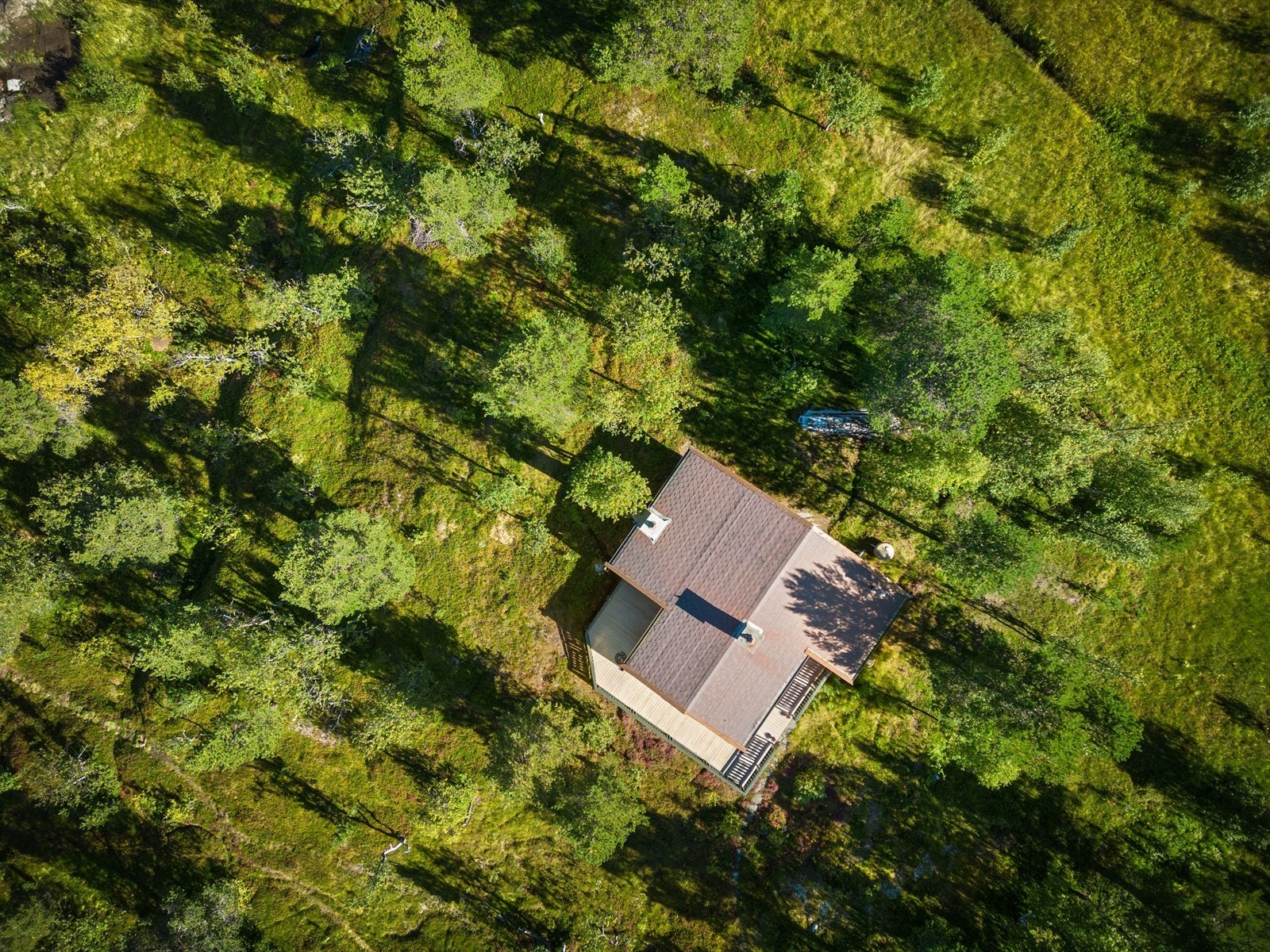 Flott naturtomt rund hytten Galleribilde