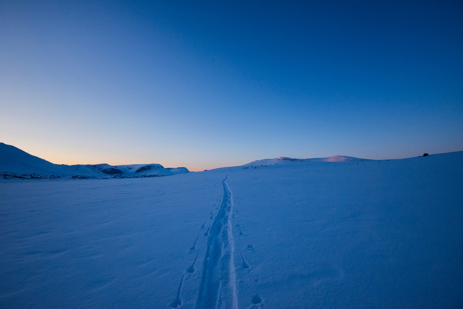 Fri som fuglen. Foto: Anki Grothe Galleribilde