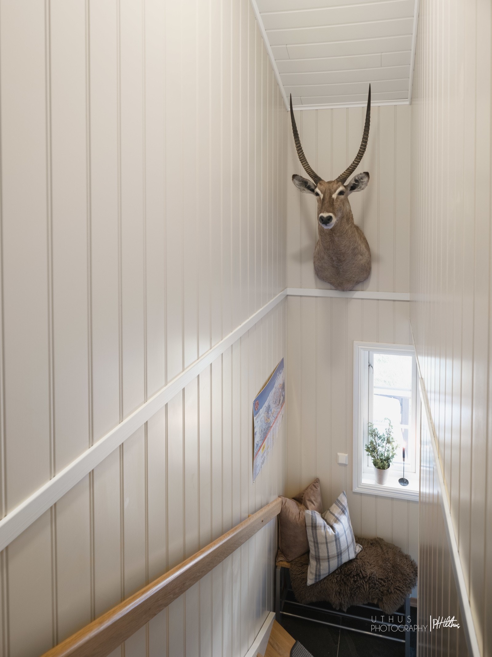 Vi går opp til 2. Etasje. Galleribilde