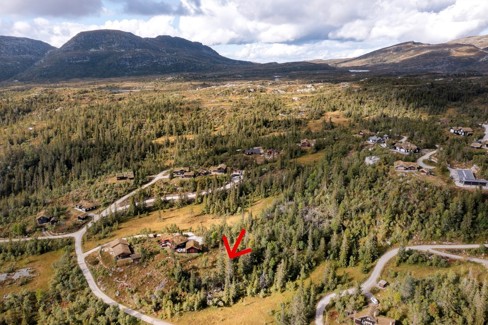 Tomta er markert med rød pil Galleribilde