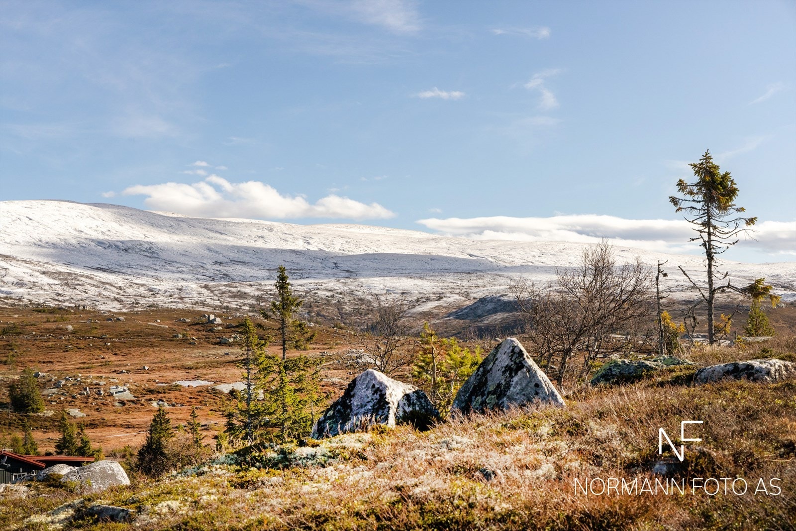 Et annet yndet turmål er Høgevarde (1459 m.o.h), på toppen her kan man også få servering. Galleribilde