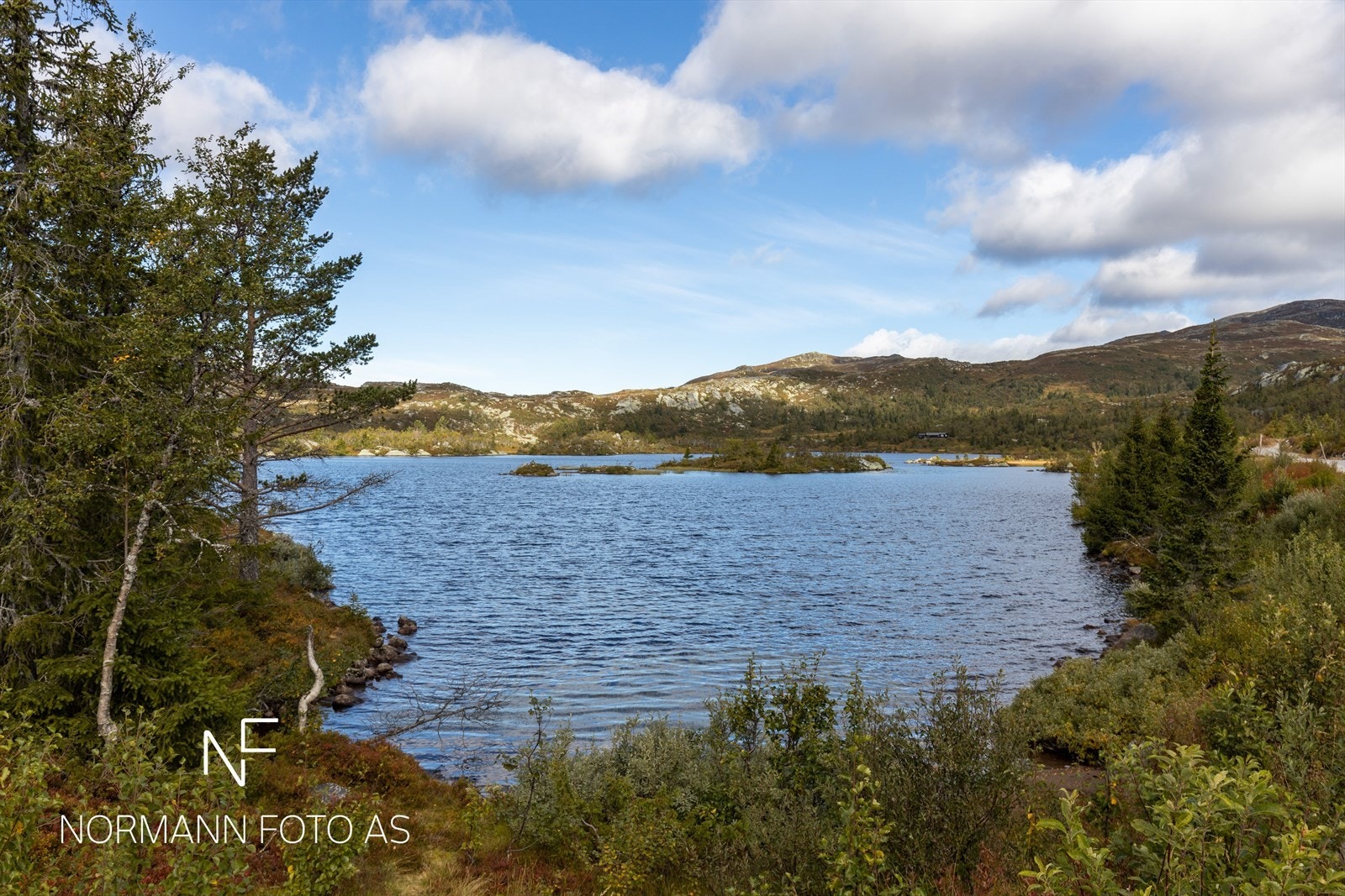 Fra tomta er det kort vei opp til vakre Istjenn med flott turløype rundt vannet samt enkelte grillplasser - koselig for store og små Galleribilde