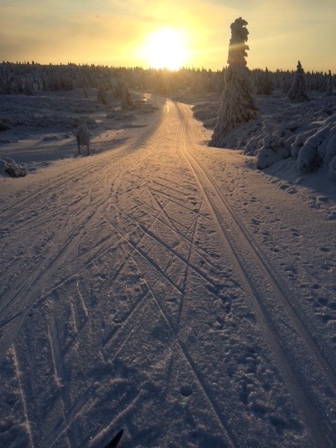 Stemningsbilde fra en ivrig skiløper. Vakkert! Galleribilde