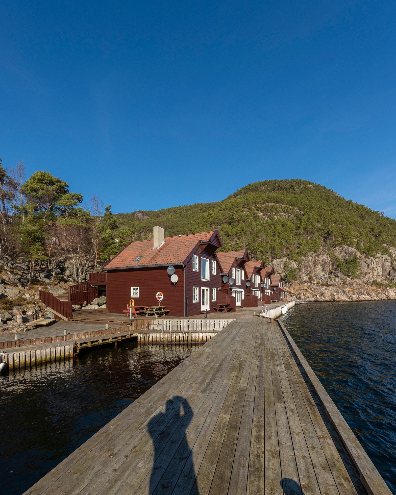_NEG6533 Galleribilde