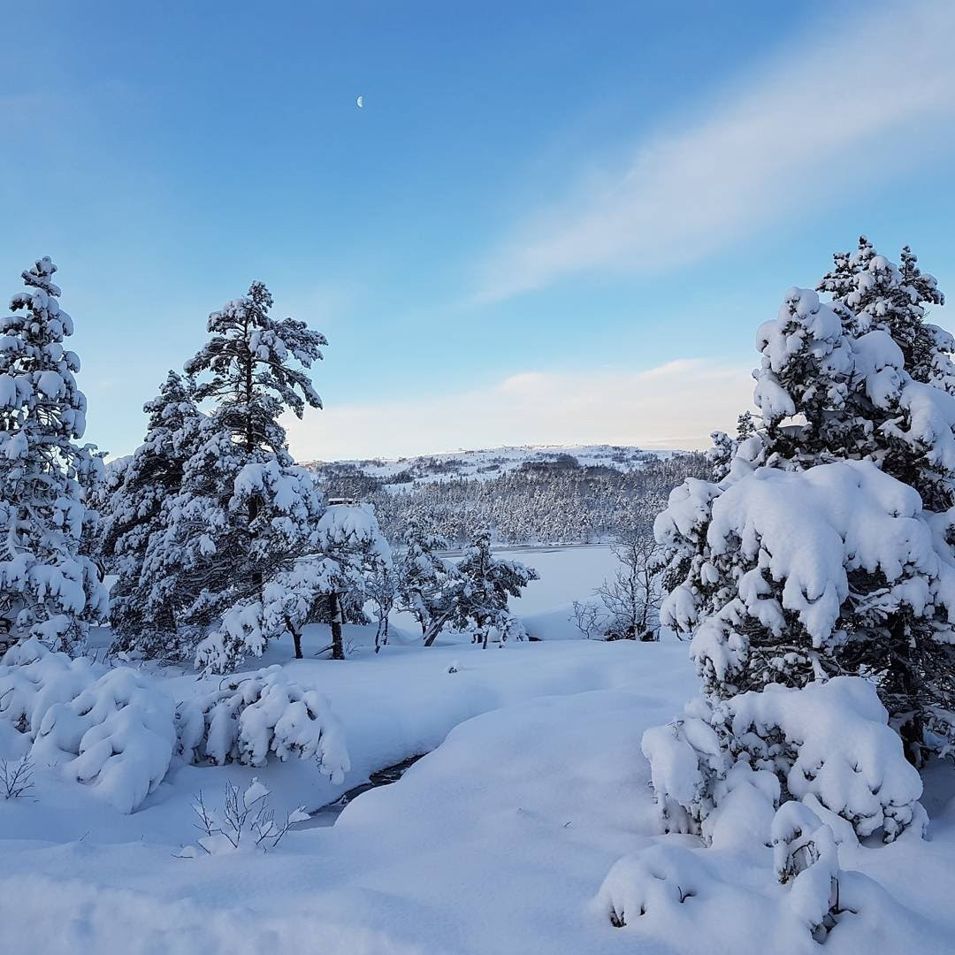 Vinter på Bjødnabu. Foto: Jofrid Hia