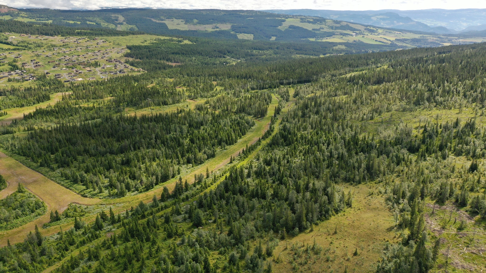 Kjoslia 4 - sommer Galleribilde