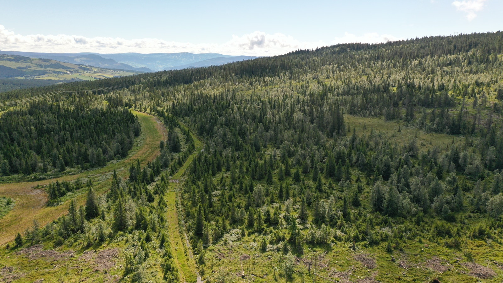 Kjoslia 4 - sommer Galleribilde