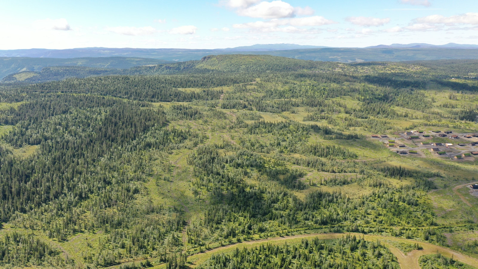 Kjoslia 4 - sommer Galleribilde