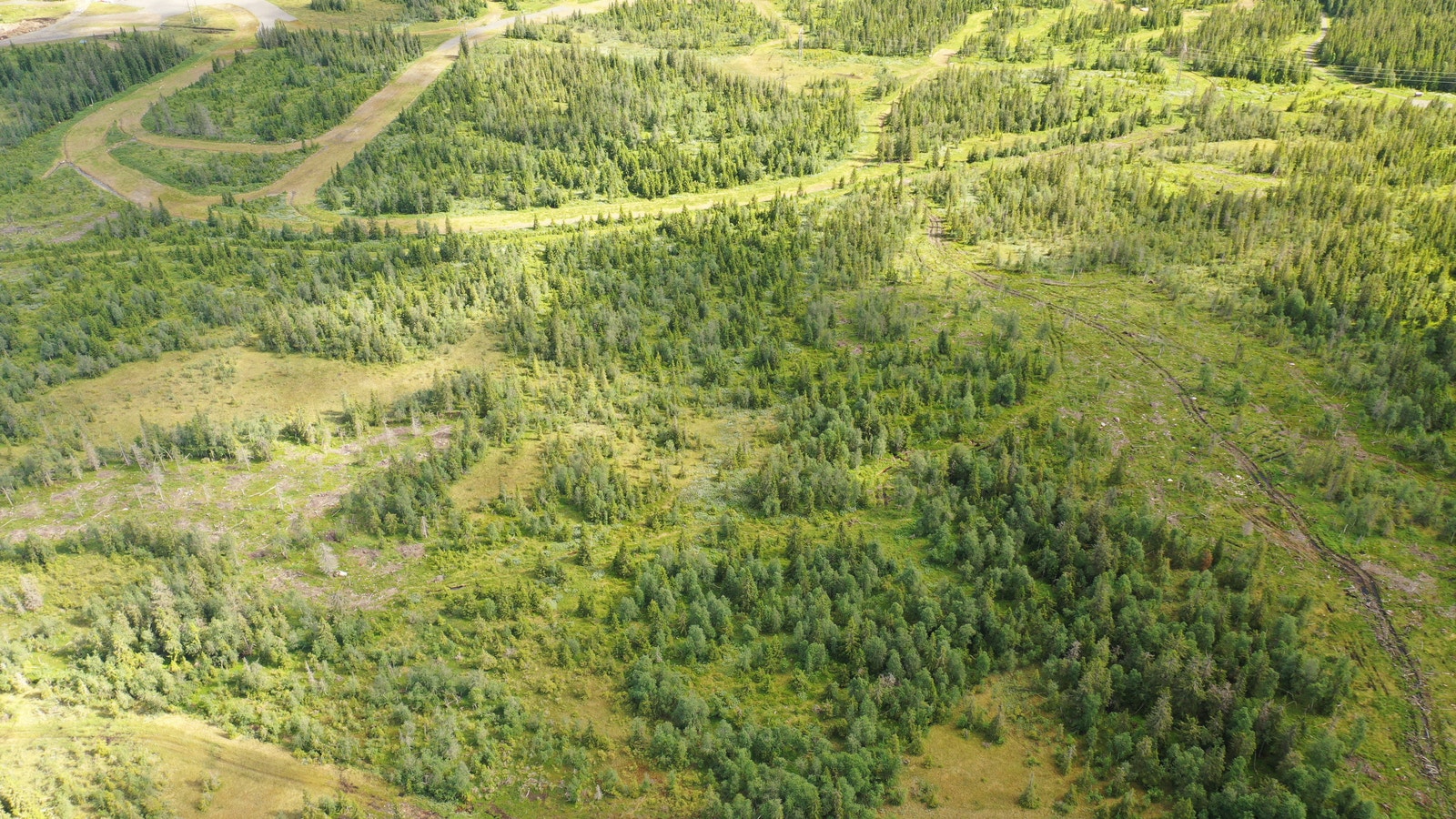 Kjoslia 4 - sommer Galleribilde