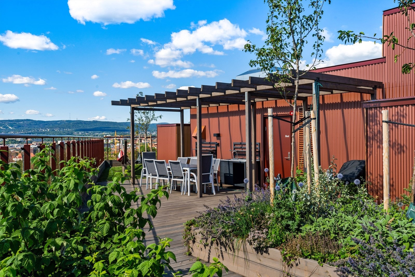 Takhagene har flere ulike soner og flott beplantning. Fantastiske solforhold hele året! Galleribilde