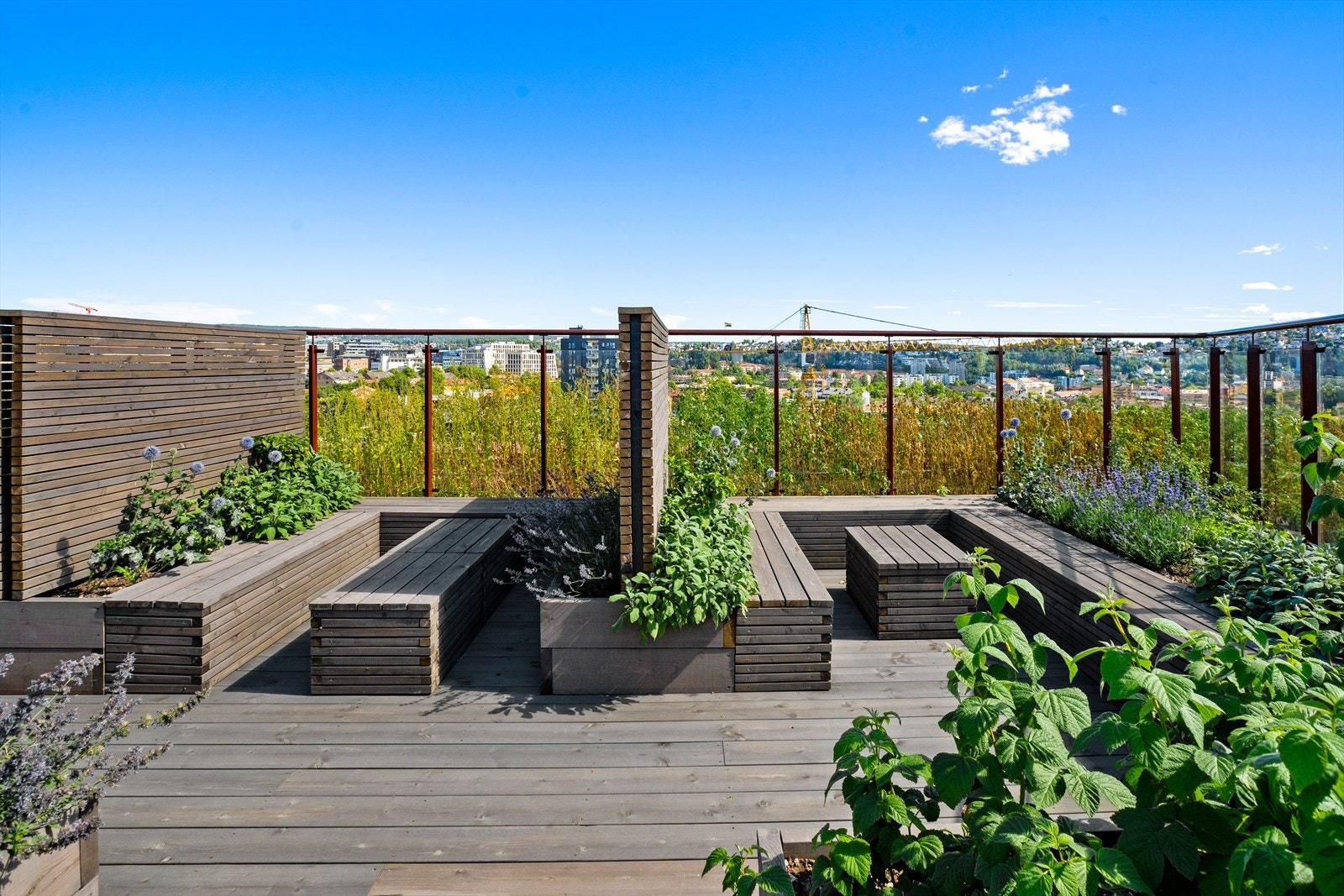 Sameiet har tre herlige takhager for beboerne. De ligger i henholdsvis 7, 9 og 14.etasje Galleribilde