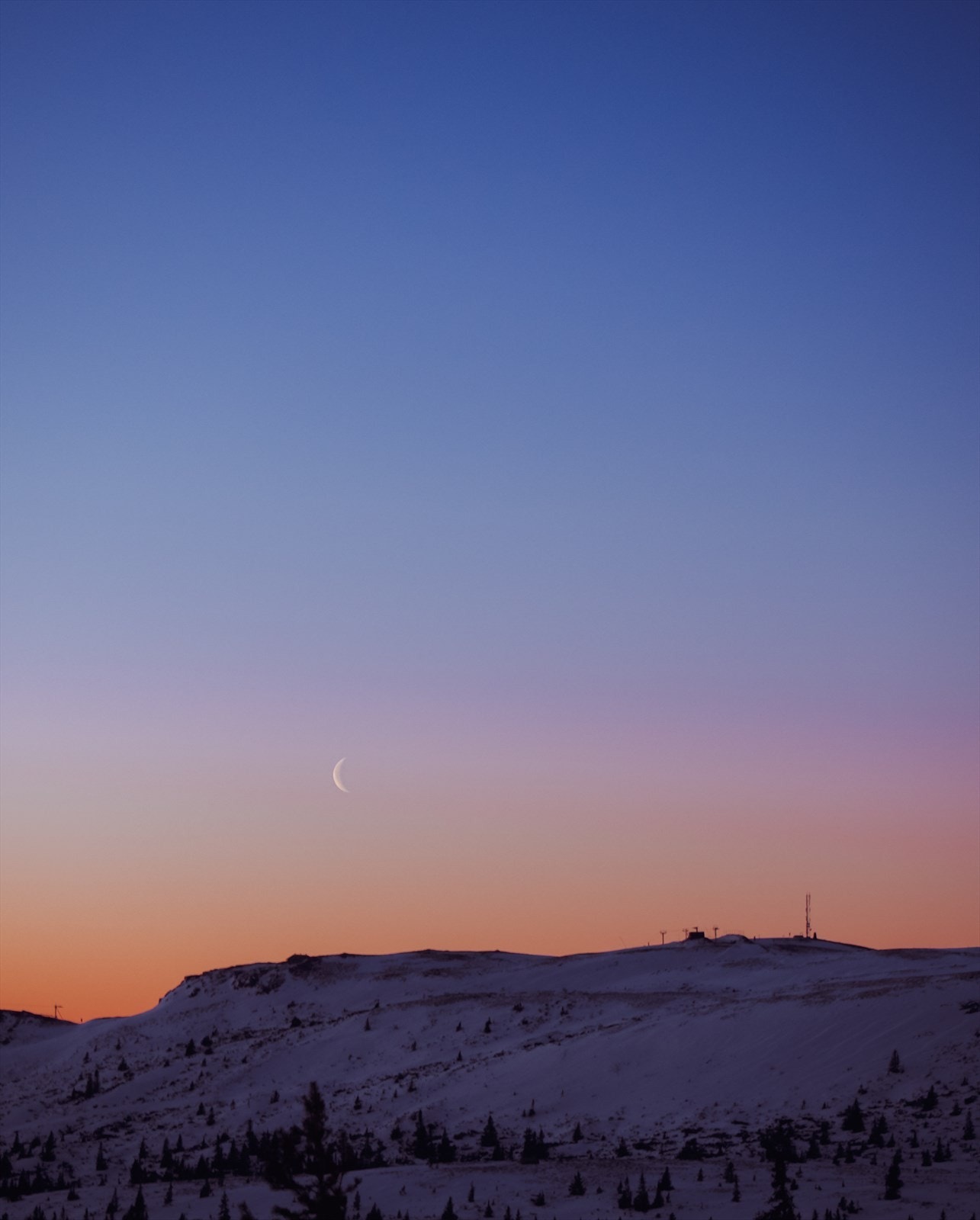 Foto: Enya Johnsen - Golsfjellet Galleribilde
