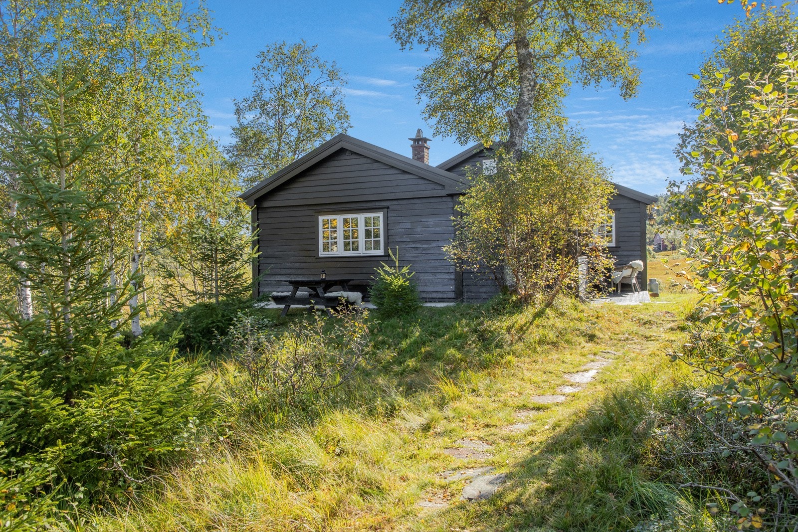 På Kvamskogen har en storslått natur og en perfekt plass for fritidsaktiviteter året rundt Galleribilde