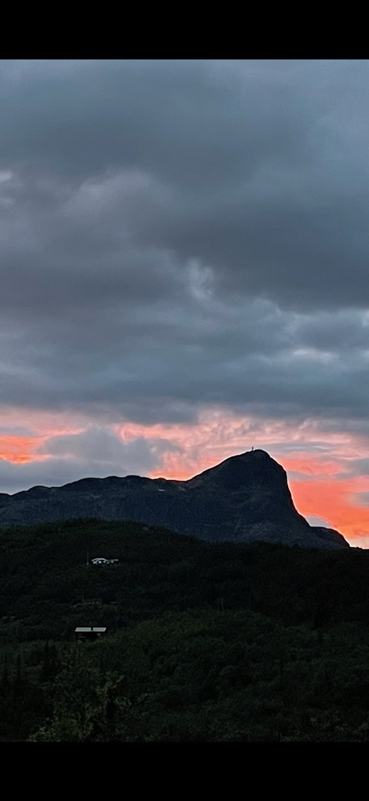 Selgers eget bilde Galleribilde