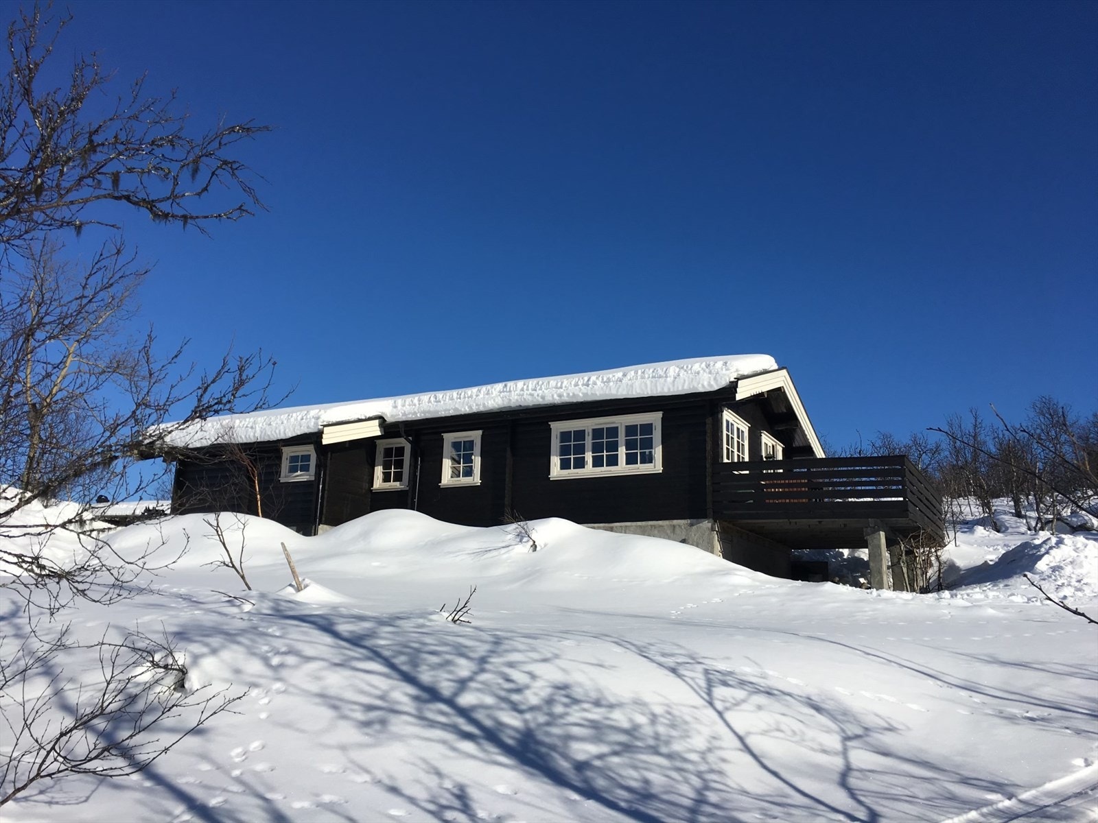 Selgers eget vinterbilde Galleribilde