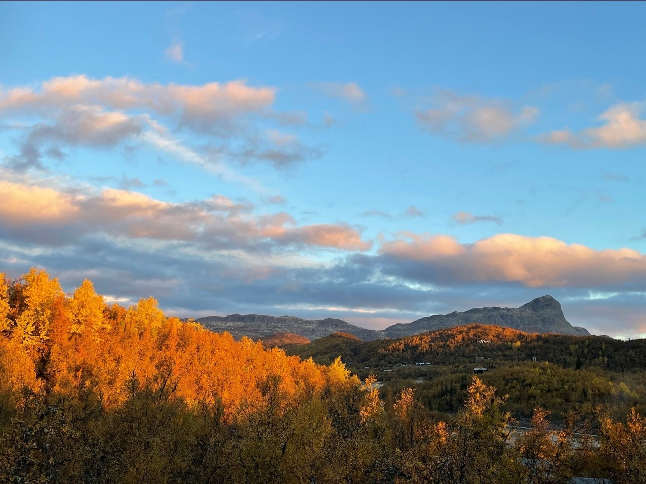 Selger eget bilde. Galleribilde