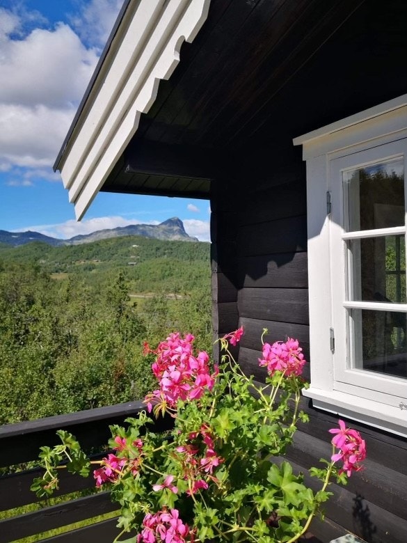 Selgers eget bilde Galleribilde