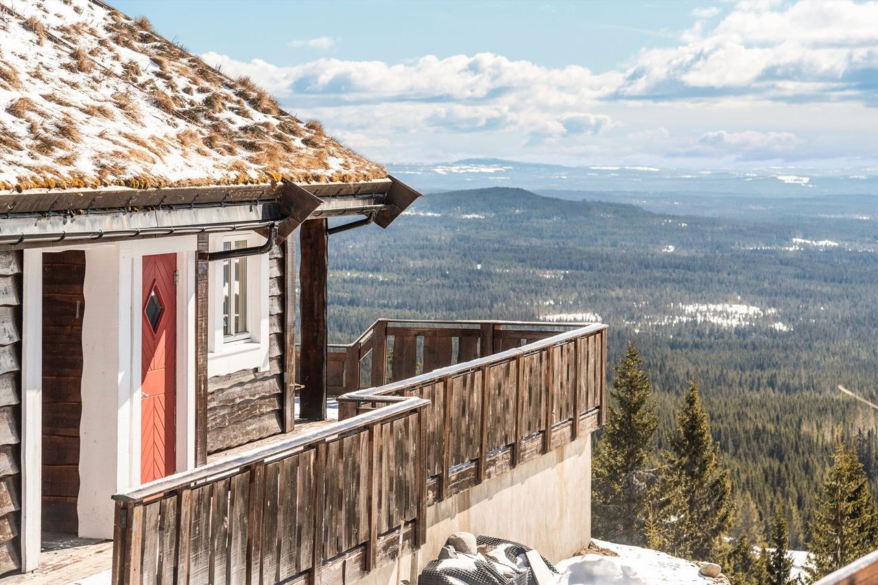 Fine detaljer i fantastiske omgivelser Galleribilde