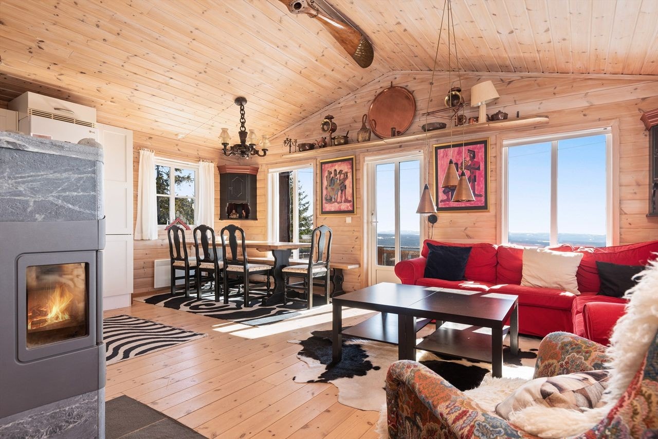 Romslig stue med vedovn Galleribilde