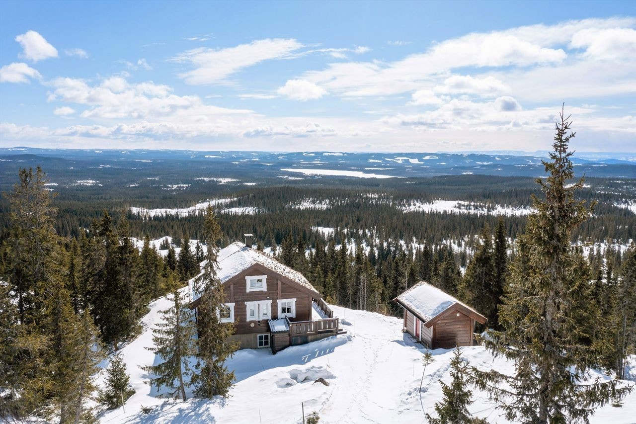 Eiendommen består av hytte og skibod Galleribilde