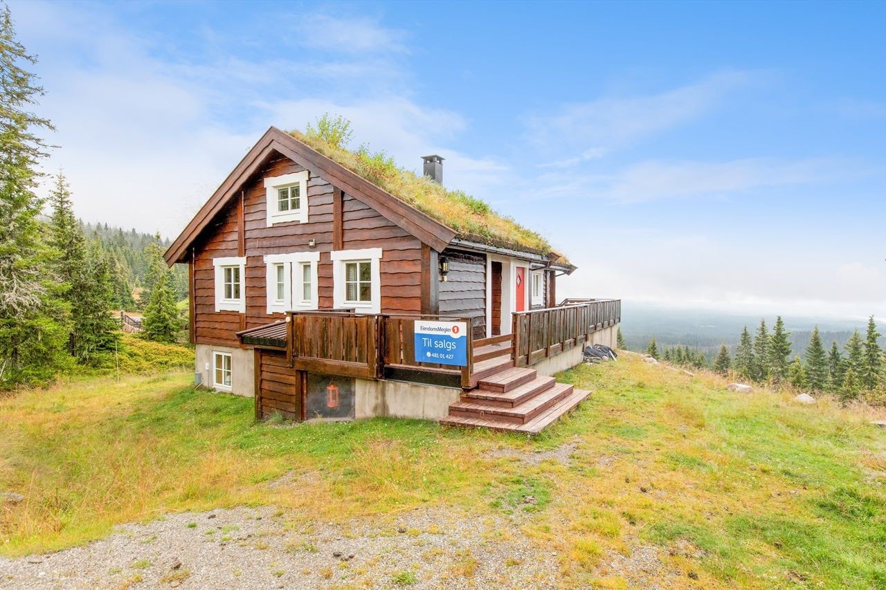 Romslig hytte med inngang i hovedplan og underetasje Galleribilde