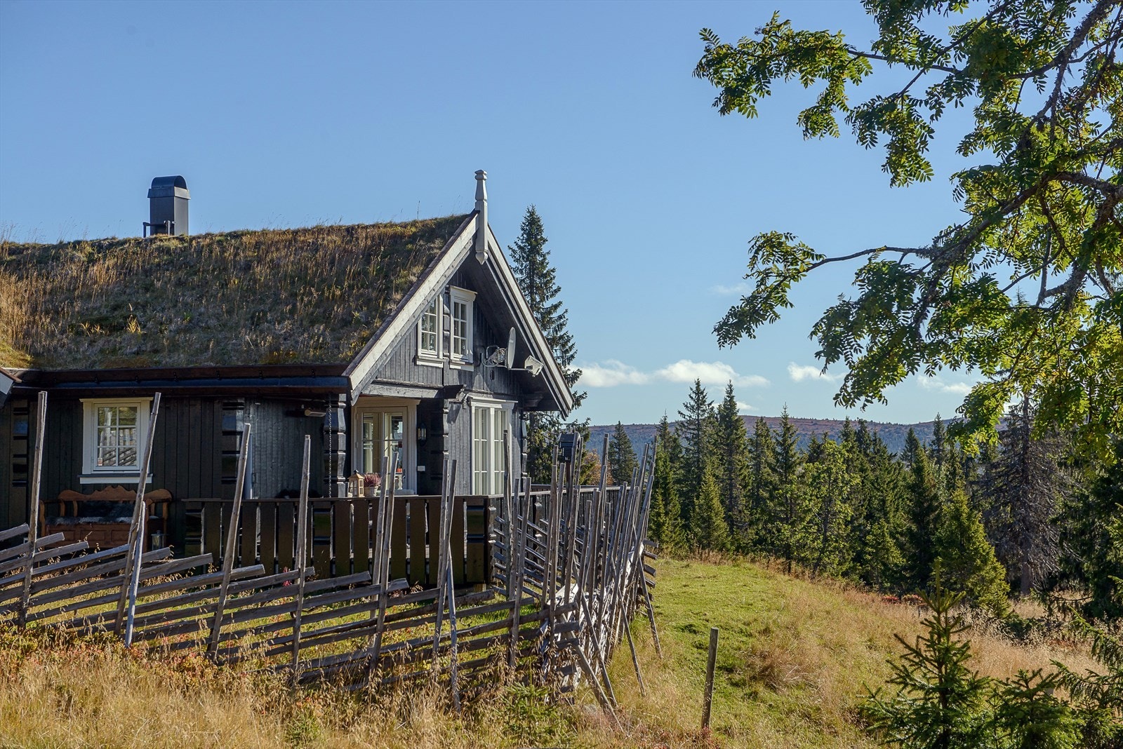 Nydelige omgivelser, midt i tur-og løypenettet. Galleribilde