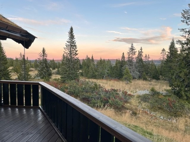 Vakker himmel, et blinkskudd tatt av selger. Galleribilde