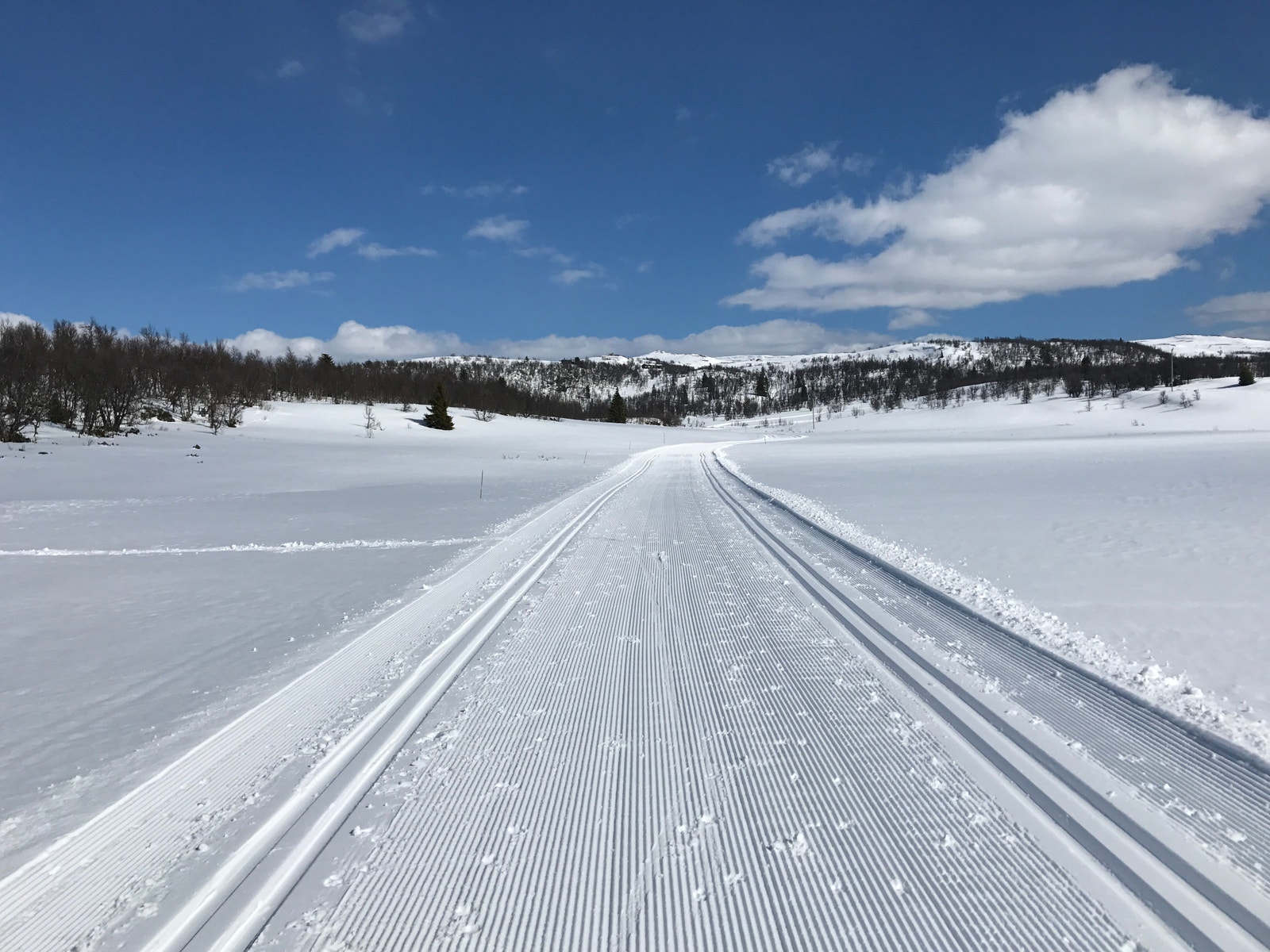 Det er skiløyper som går rett fra tomteområdet og milevis innover fjellet Galleribilde