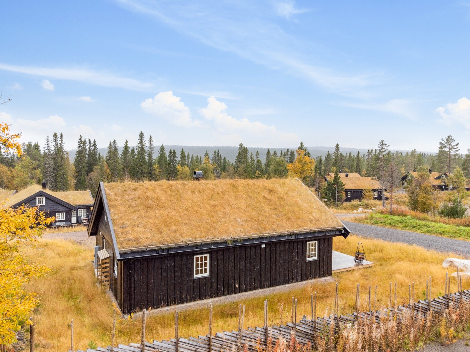 Rundt hytta er det stedbundet vegetasjon. Galleribilde