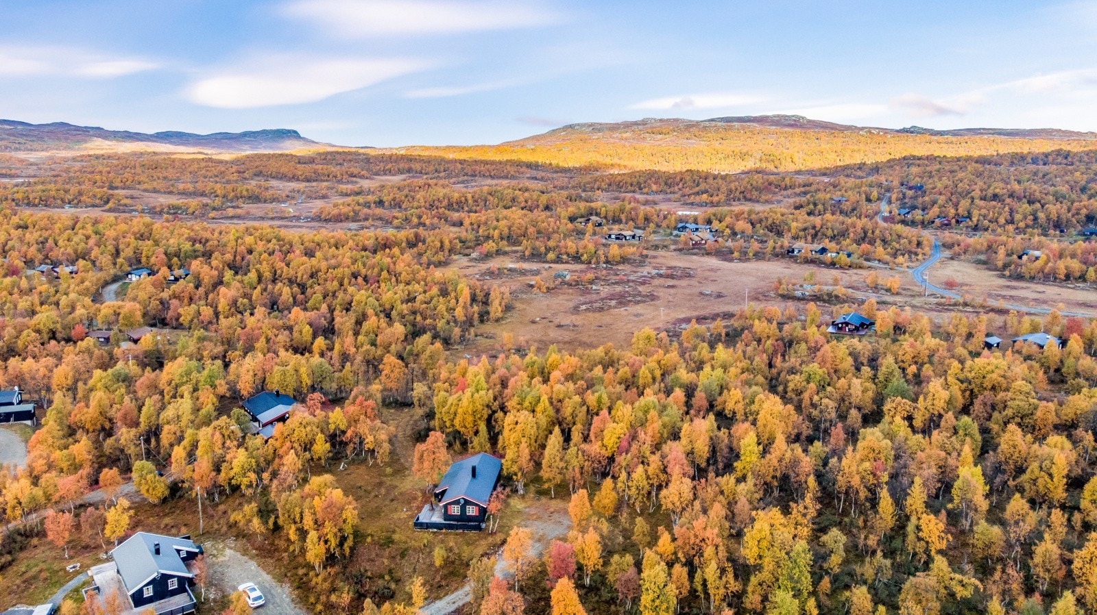 Fantastisk turterreng hele året. Mye bær og sopp på høsten. Galleribilde