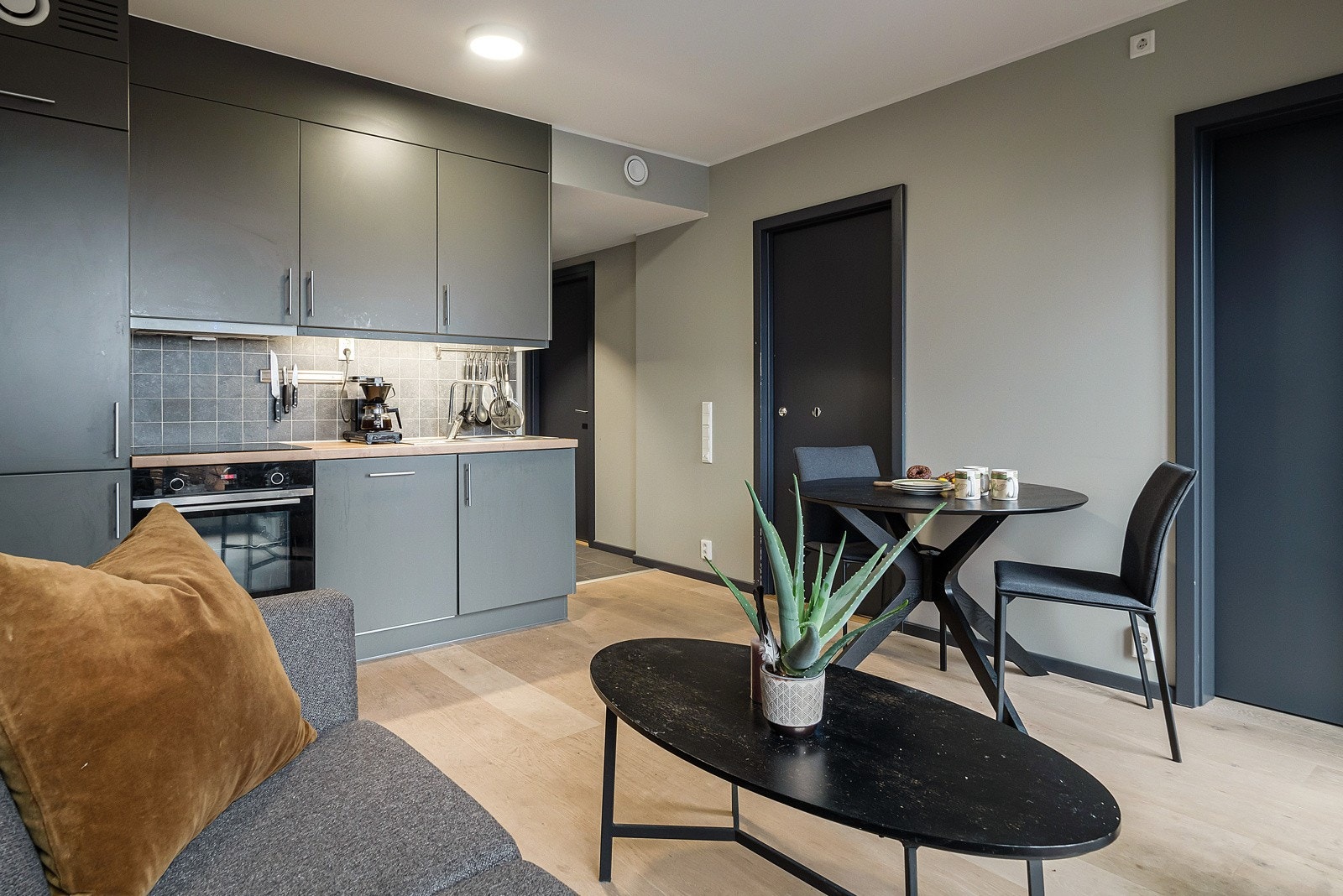 Plass til sofakrok og spiseplass. Galleribilde