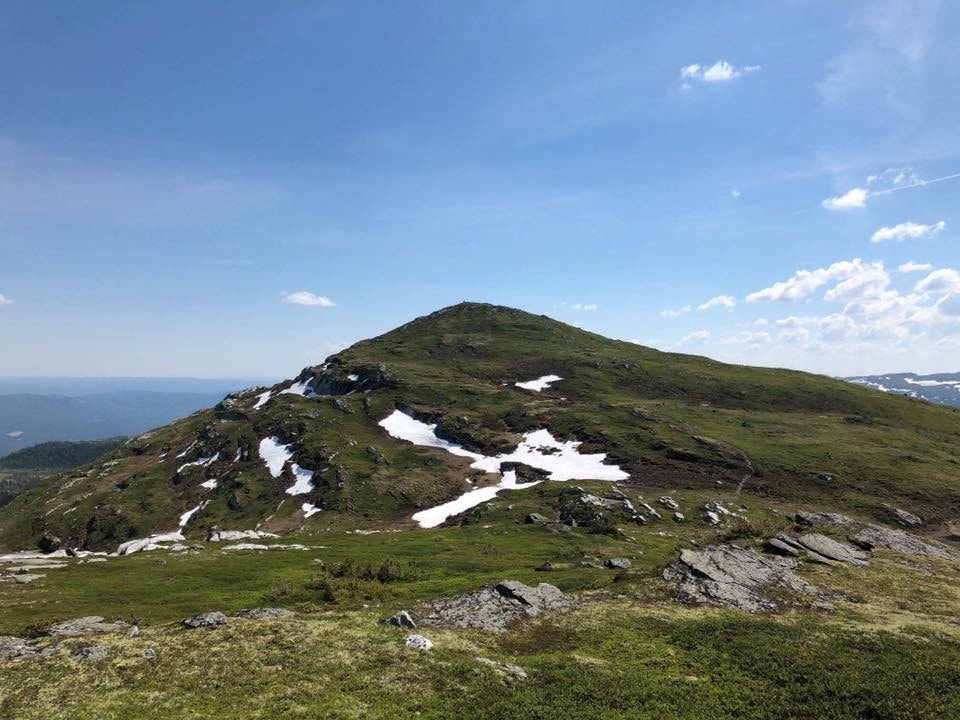 Senhovd Galleribilde