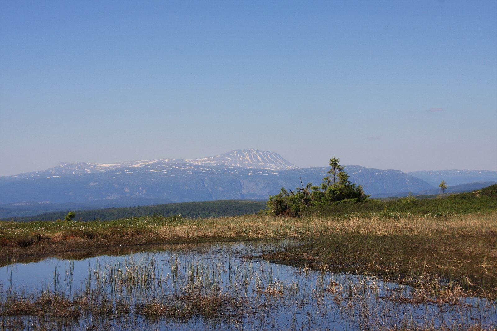 Utsikt mot Gaustatoppen Galleribilde