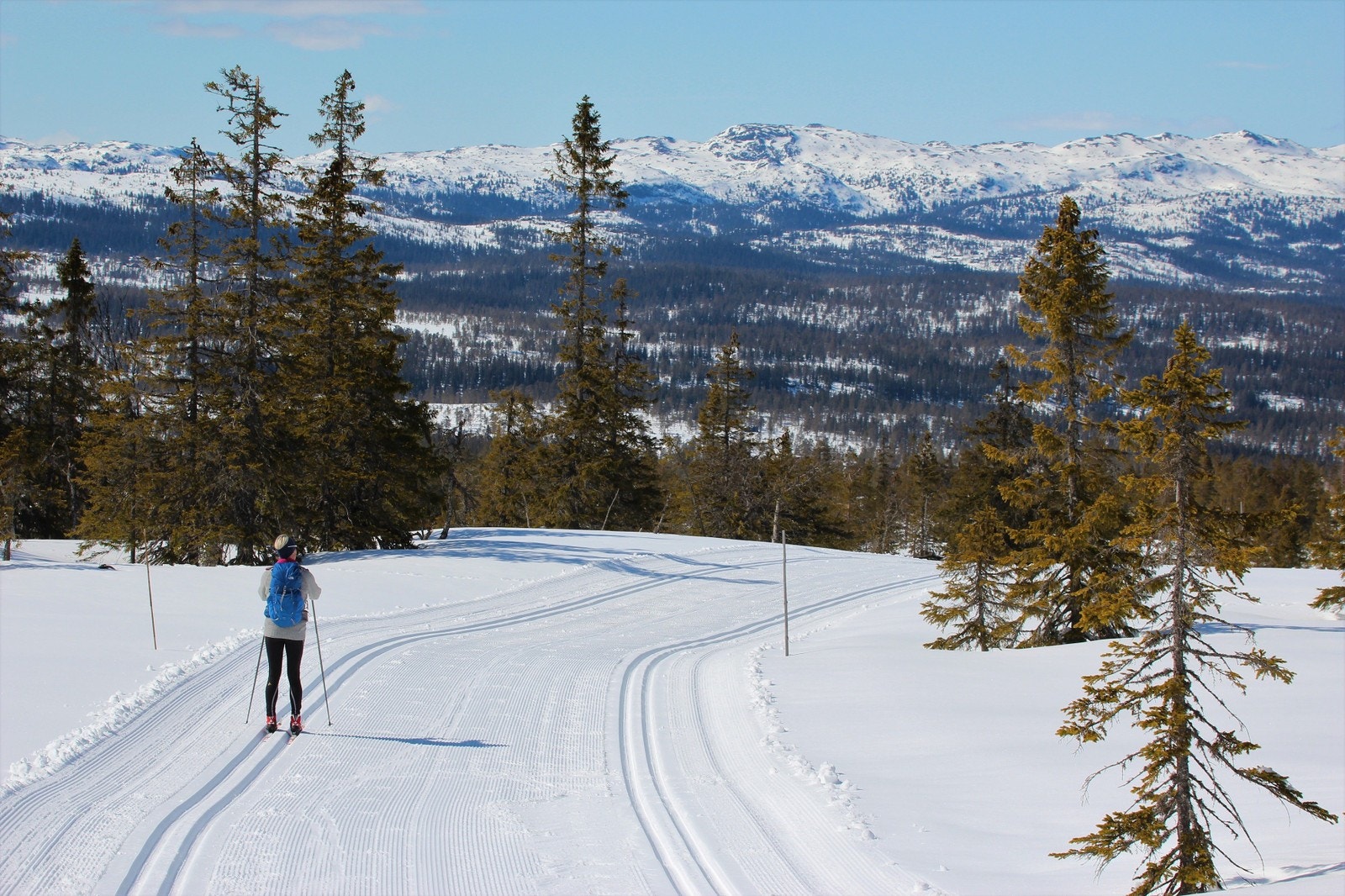 Flotte skiløyper Galleribilde