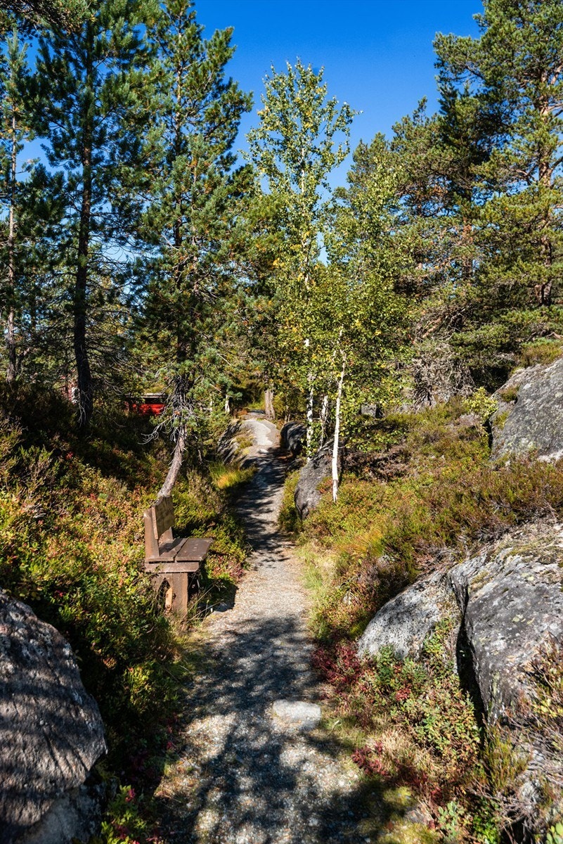 Trivelig gangsti fra parkeringsplassen. Galleribilde