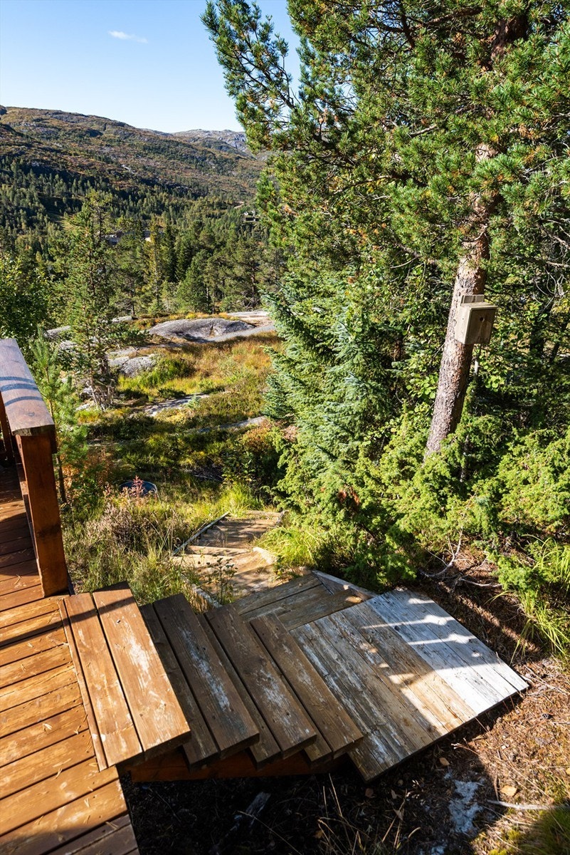 Det er ikke kjørevei helt opp til hytta. En parkerer på felles parkeringsplass ca. 430 meter fra eiendommen (oppmålt i kart). Derfra er det opparbeidet gangsti og trapp opp til hytta. Galleribilde