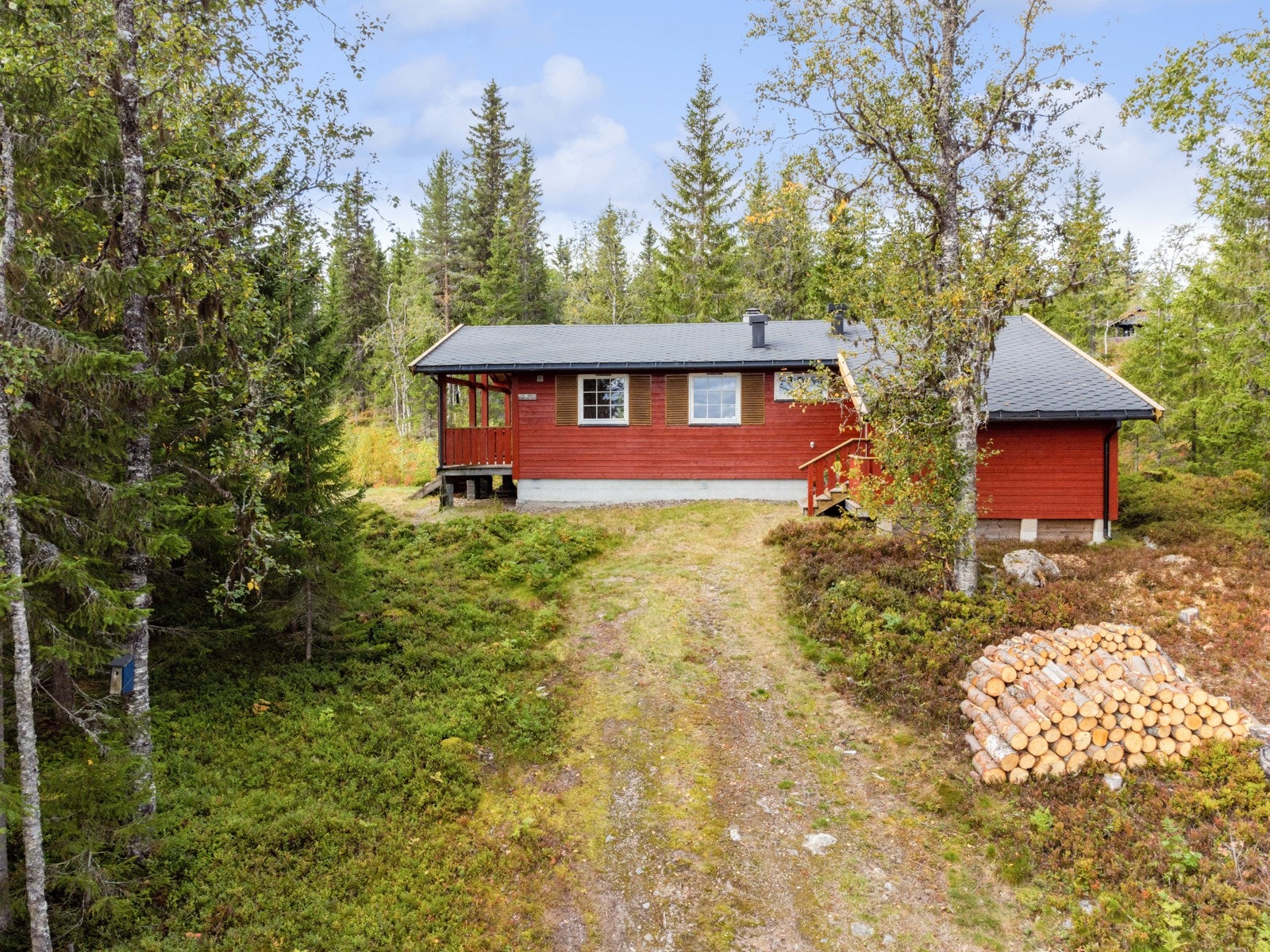 Den store tomten gir en skjermet følelse og har flott utsikt mot både Trysilfjellet og nærområdene rundt. Galleribilde